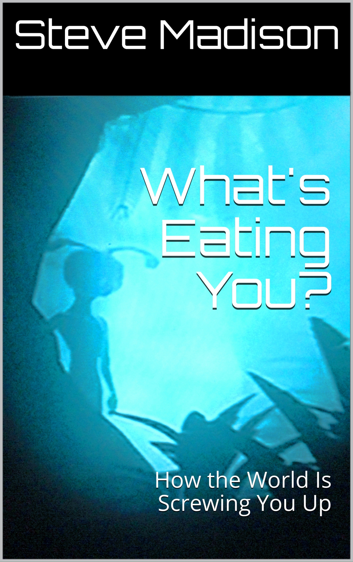 Whats Eating You How the World Is Screwing You Up Steve Madison Copyright - photo 1