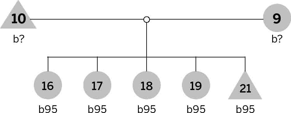 In addition to the five pups identified by number in the family tree above the - photo 7