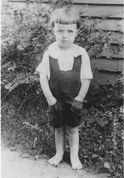 The Author-In-Residence Green Town Illinois 1923 Sometimes I am stunned - photo 3