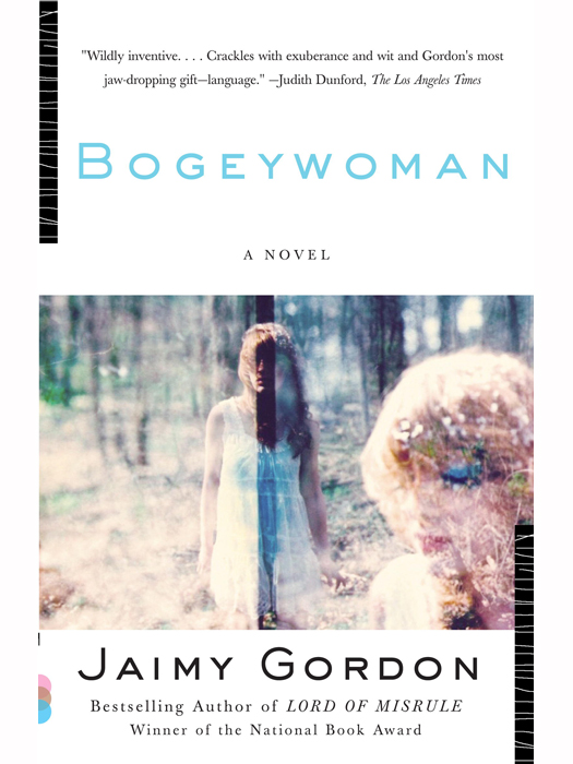 Praise for Jaimy Gordon and BOGEYWOMAN A book of great risk and humor and - photo 1