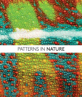 Philip Ball - Patterns in Nature: Why the Natural World Looks the Way It Does