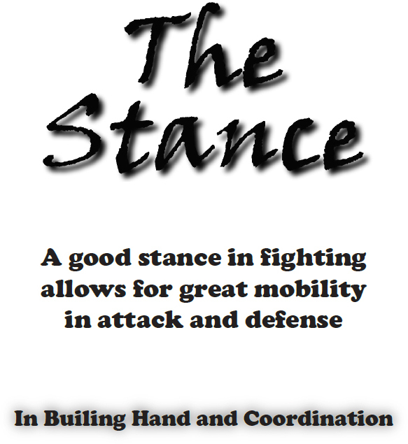 T he stance in any system of fighting is very important The stance has many - photo 5