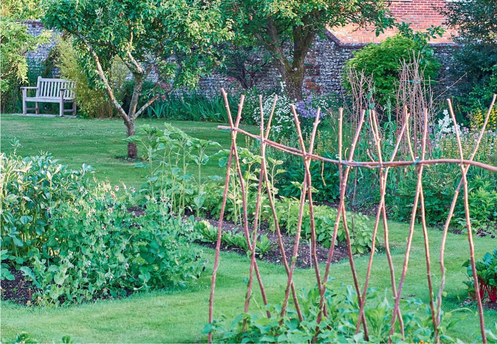 No-dig gardens are productive and beautiful They help preserve the soil life - photo 5