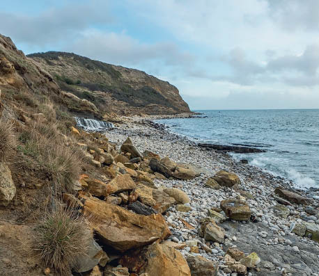 The rocky coast of Dorset where the Hawking family spent summers when Stephen - photo 4