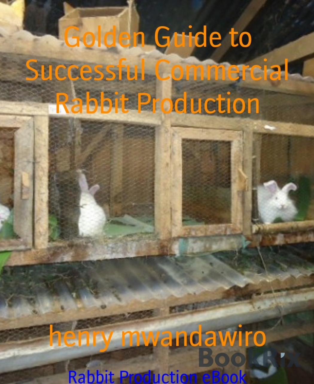 henry mwandawiro Golden Guide to Successful Commercial Rabbit Production - photo 1