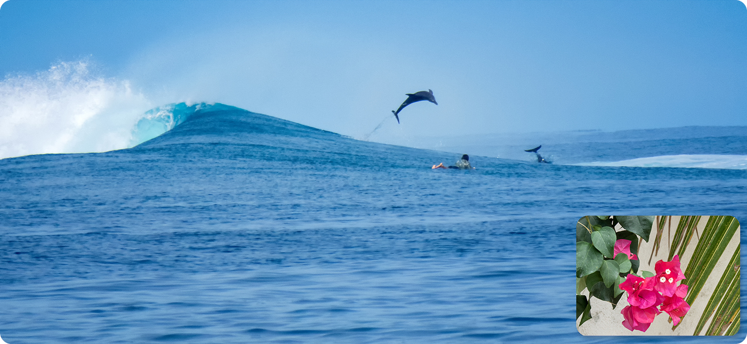 Dedicated to the Maldivian wave riders - photo 9