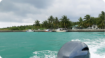 Dedicated to the Maldivian wave riders - photo 8