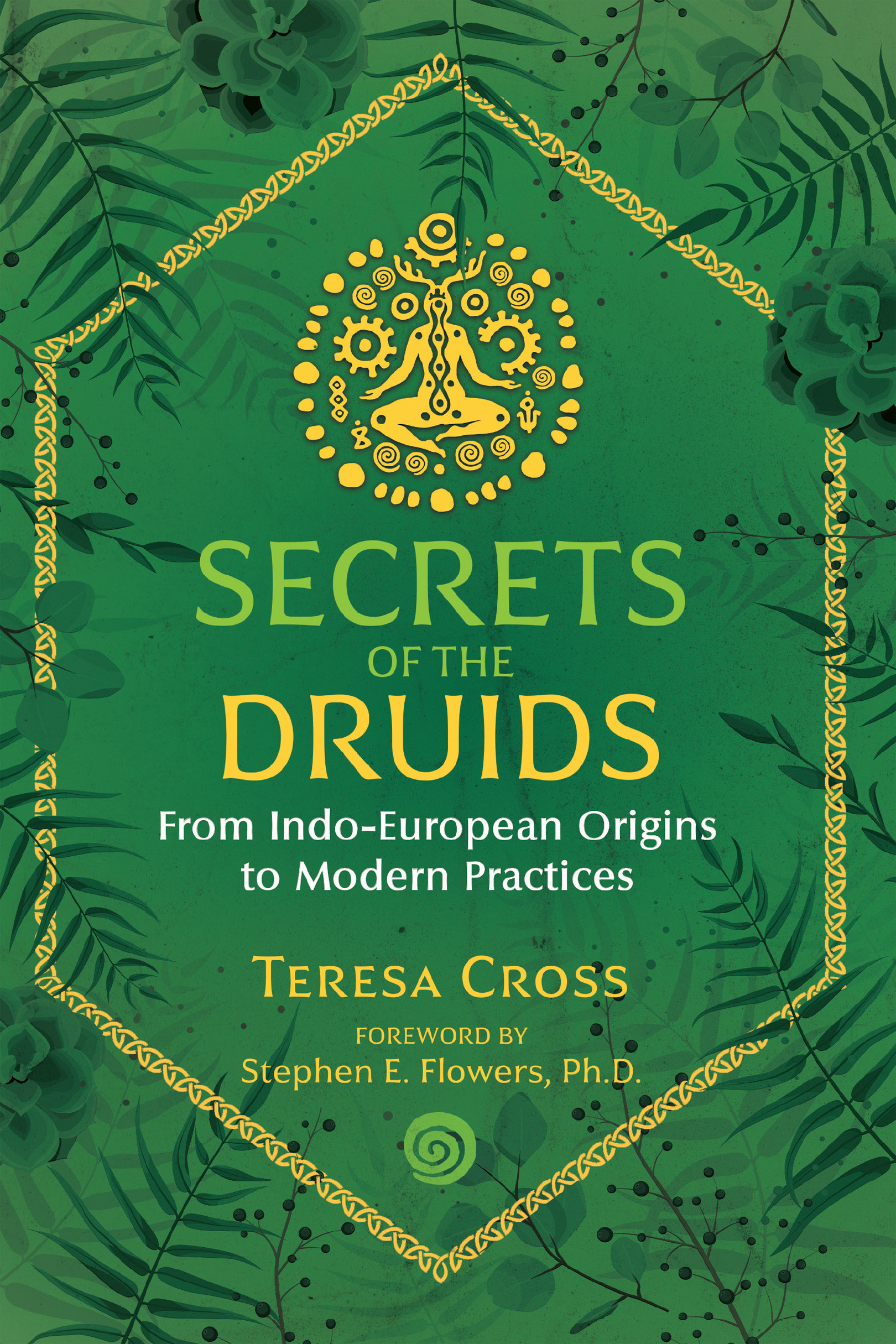 SECRETS OF THE DRUIDS A thoughtful and well-researched reconstruc - photo 1