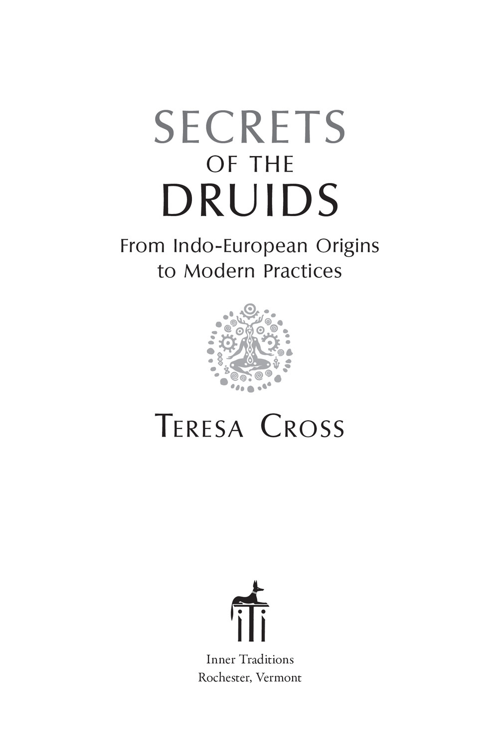 SECRETS OF THE DRUIDS A thoughtful and well-researched reconstruction of - photo 2