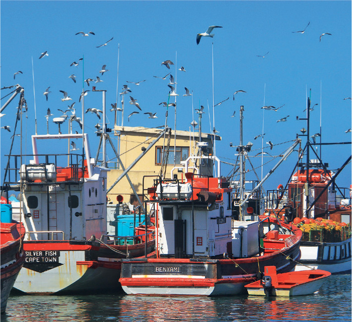 Lamberts Bay harbour Signage Diamond Coast Wild West Coast at its best - photo 8