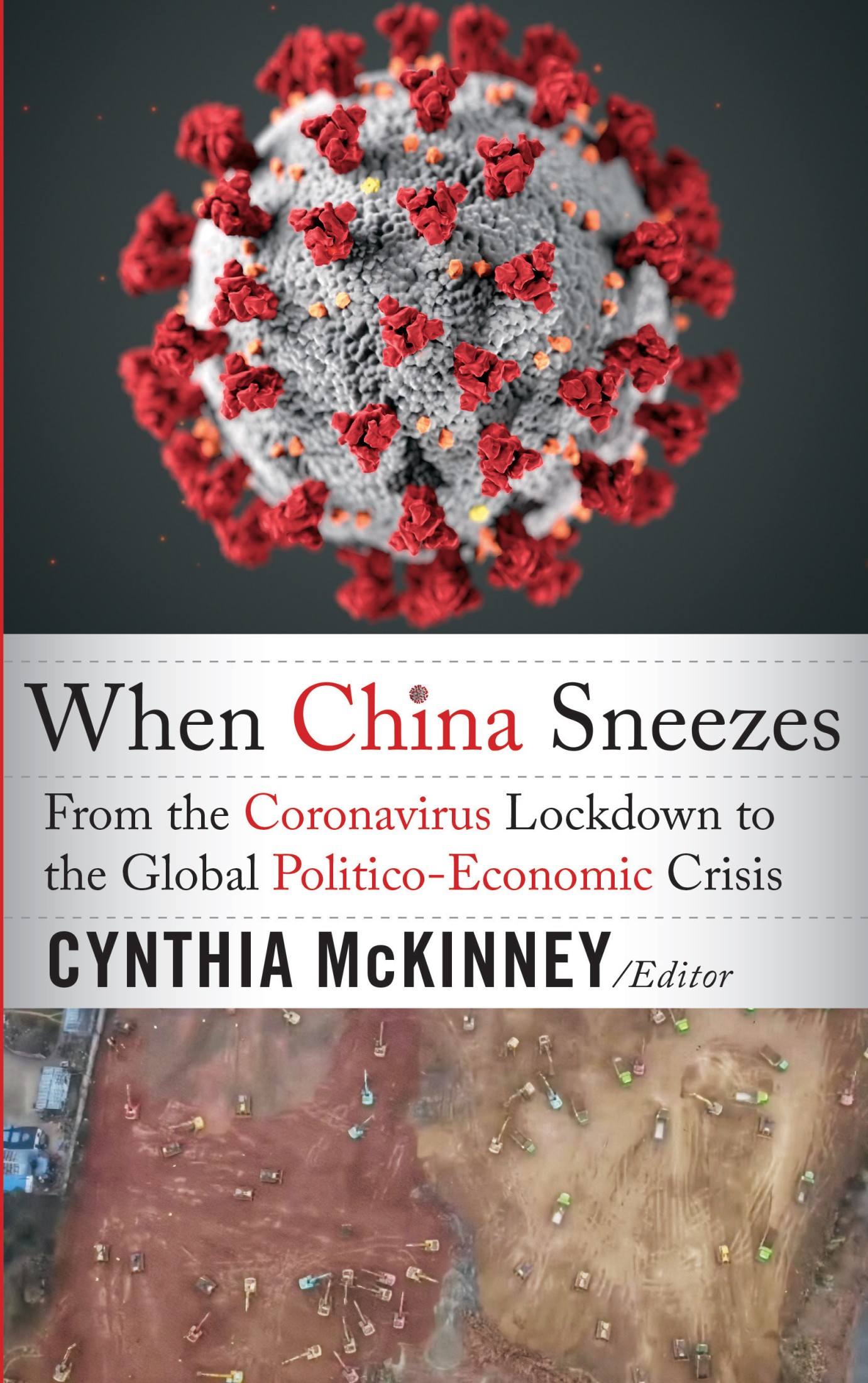 WHEN CHINA SNEEZES WHEN CHINA SNEEZES From the Coronavirus Lockdown to the - photo 1
