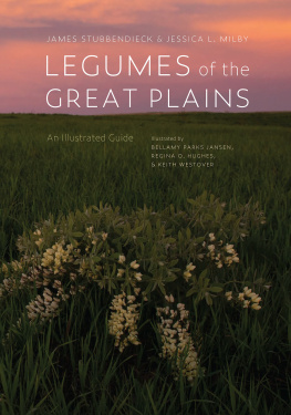 James Stubbendieck - Legumes of the Great Plains