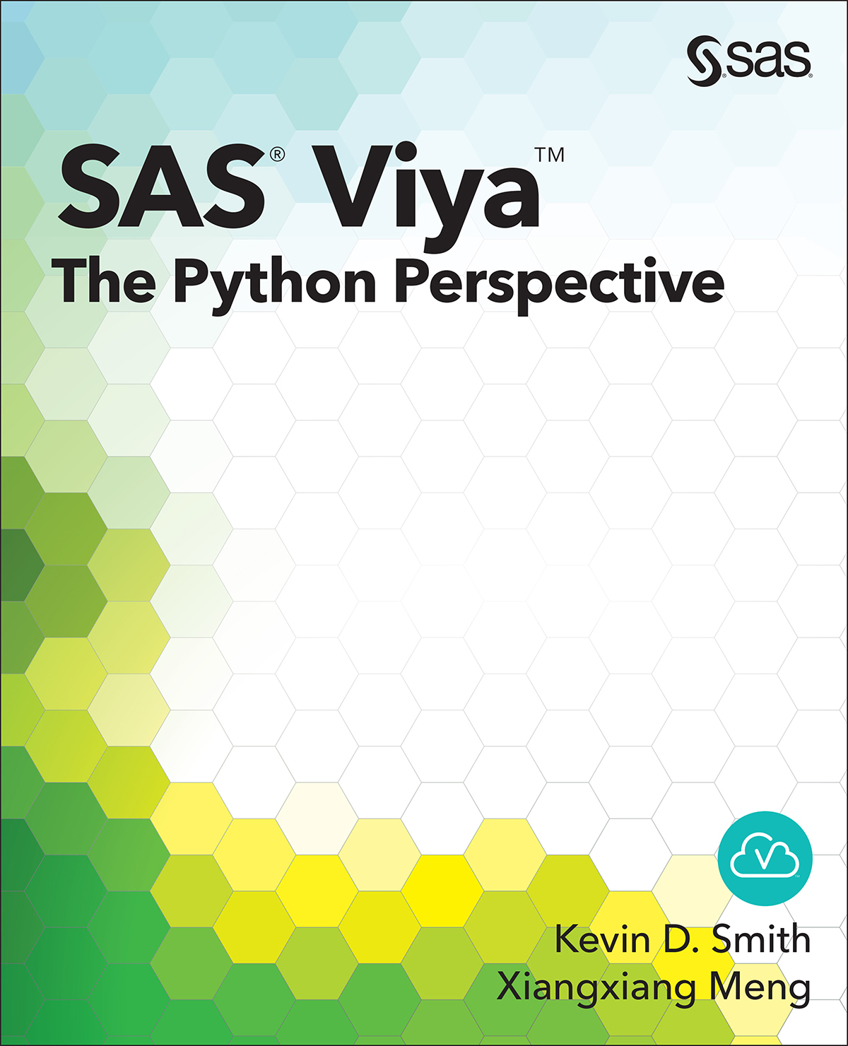 SAS Viya The Python Perspective - image 1