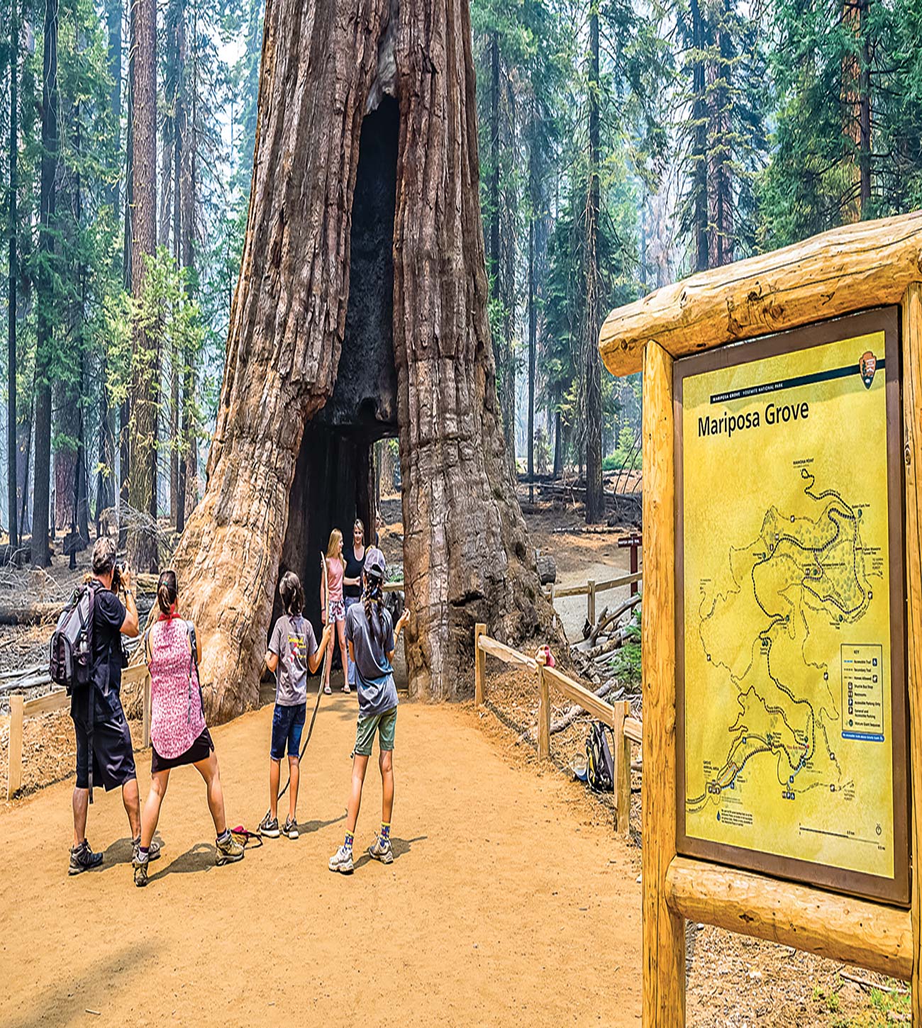 tourists standing inside a giant sequoia Grizzly Falls - photo 5