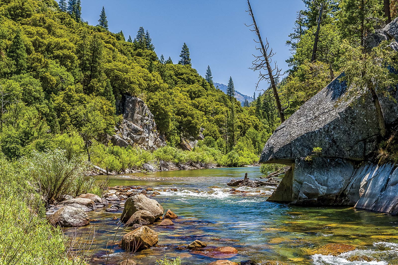 stream fed by Sierra snowmelt The natural world awaits around every bend of - photo 10