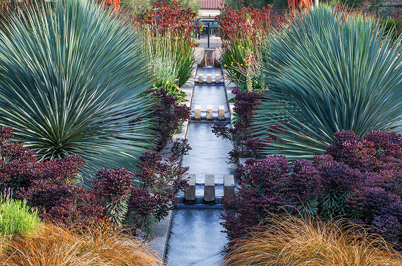 Plants adapted to summer-dry climates are displayed in a formal arrangement - photo 2