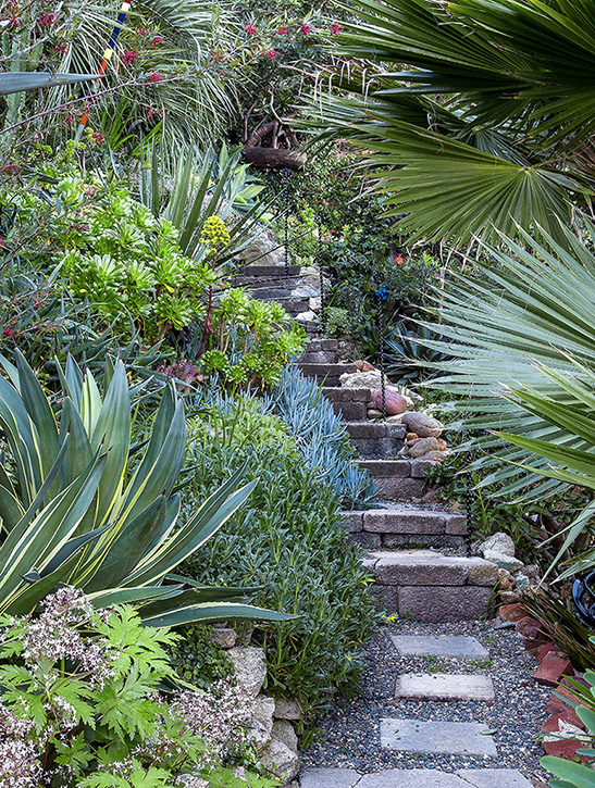 A sinuous stairway invites exploration up and into a San Diego garden of - photo 5