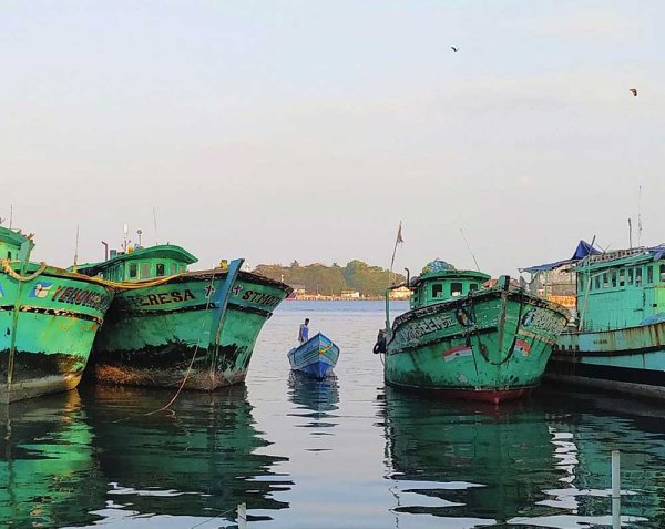 Domestic fishing boats in Kochi now dock where once anchored large canoes that - photo 2