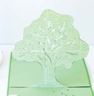 Beginners Guide to Kirigami - photo 15