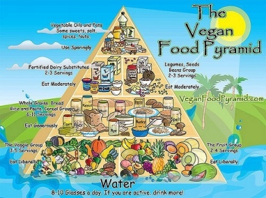 B efore we move on to the health benefits of veganism we will cover some - photo 9