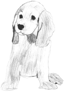 Drawing of a Dog first attempt by Joey LaMourie age 12 This drawing of a dog - photo 8