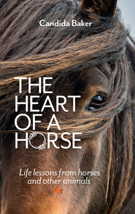 Candida Baker - The Heart of a Horse
