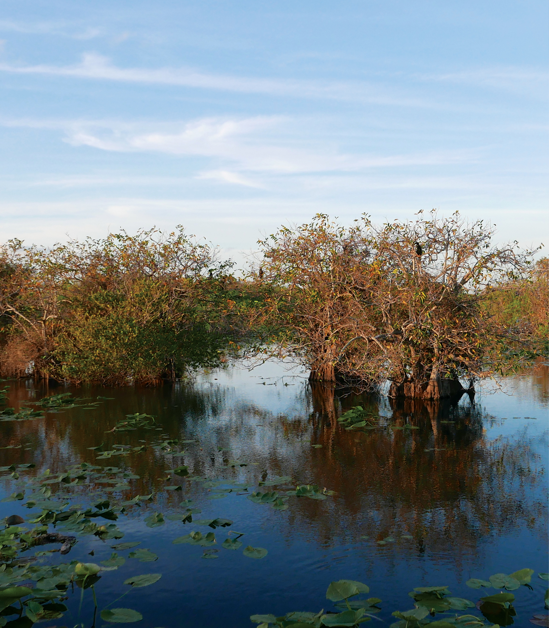 Everglades National Park in Florida is home to several threatened and - photo 3