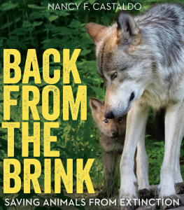 Nancy F. Castaldo - Back from the Brink: Saving Animals from Extinction