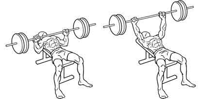 1 Setup With your eyes under the bar lie supine on the bench Lift your - photo 9