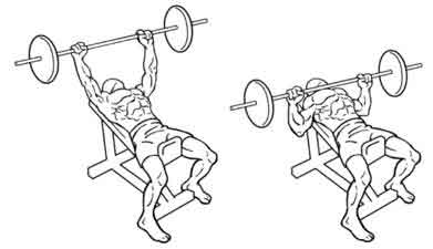 1 Setup With your eyes under the bar lie on an incline bench Lift your - photo 11