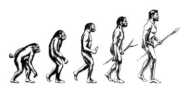 Australopithecus Evolucin Este antiqusimo antecesor del hombre que - photo 5