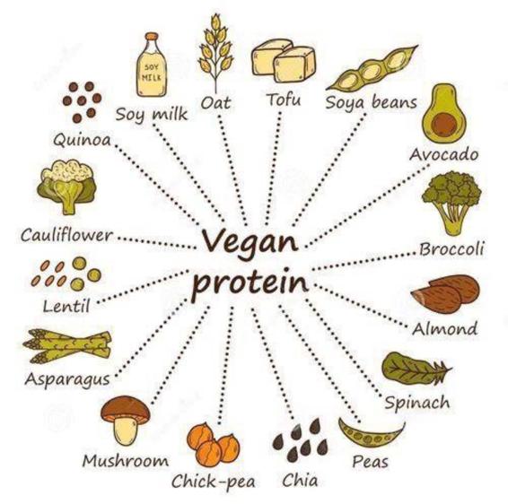 The myth that vegans and vegetarians do not eat protein has been dispelled many - photo 3