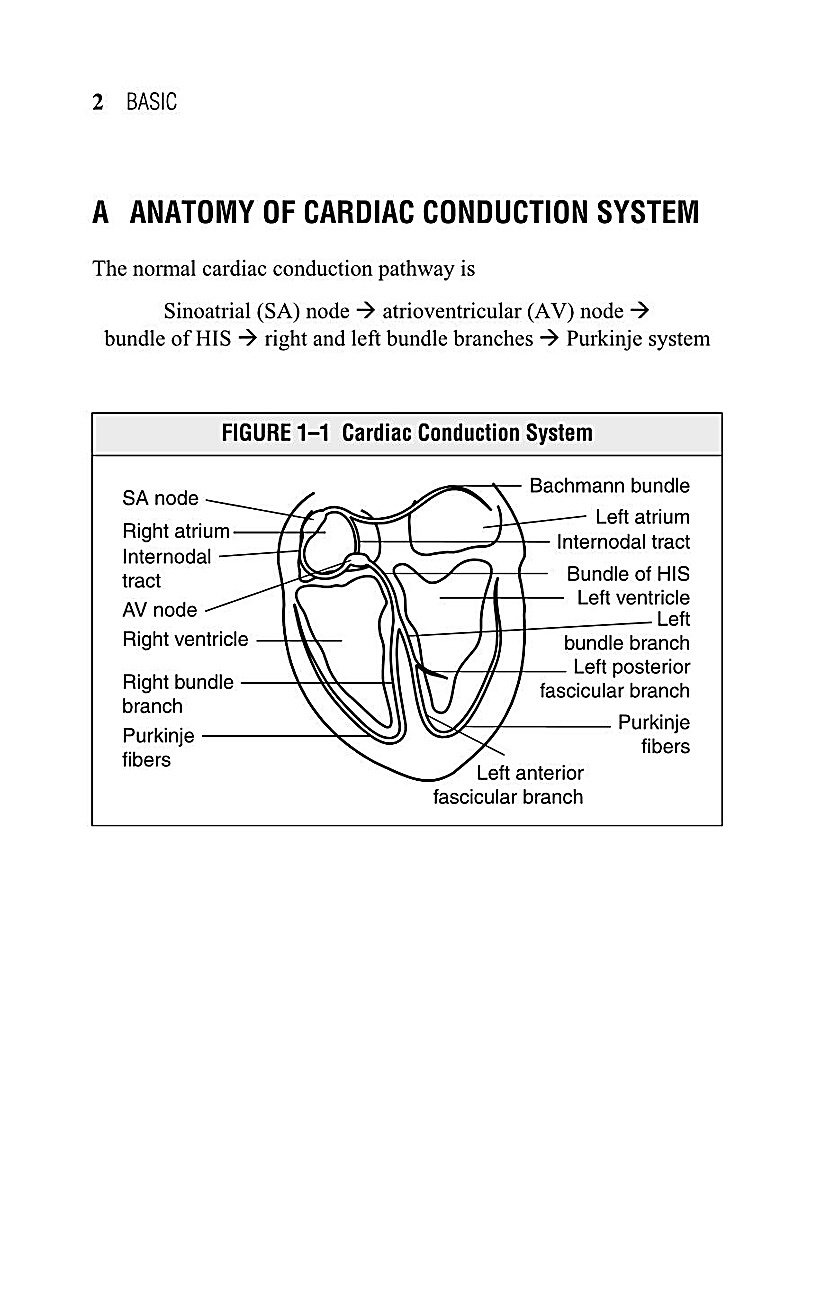 Interpreting EKG EKG Interpretation For Nurses EKG Interpretation Practice EKG Interpretation Book - photo 6