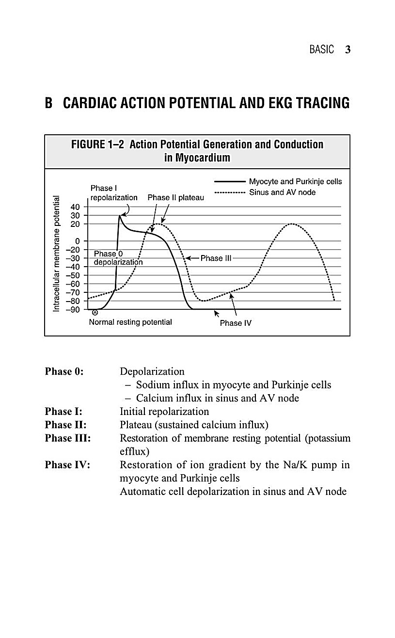 Interpreting EKG EKG Interpretation For Nurses EKG Interpretation Practice EKG Interpretation Book - photo 7