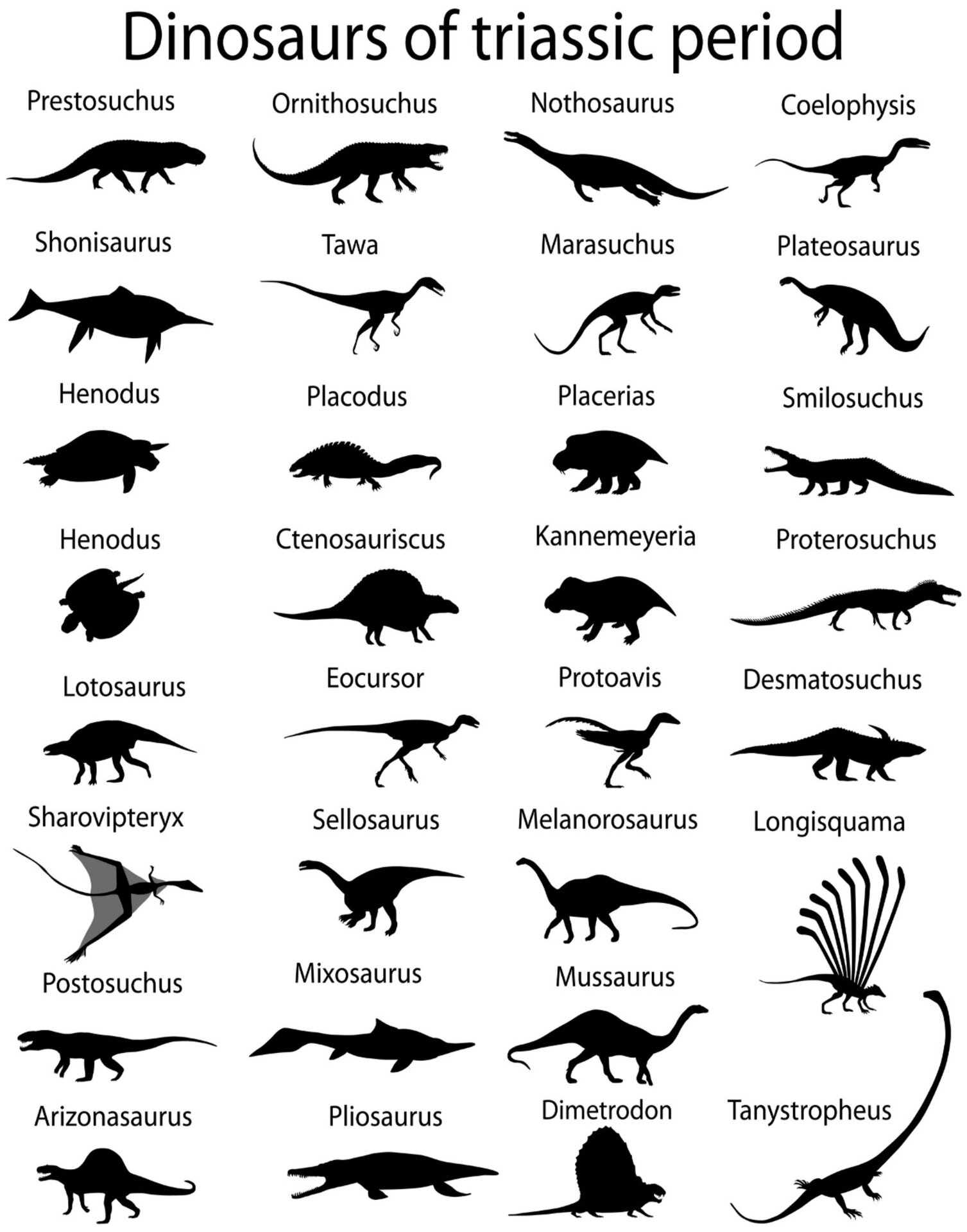 The Jurassic Period- The Jurassic period which is the middle part of the - photo 11