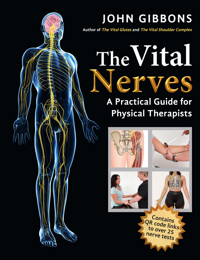 The Vital Nerves The Vital Nerves A Practical Guide for Physical Therapists - photo 1