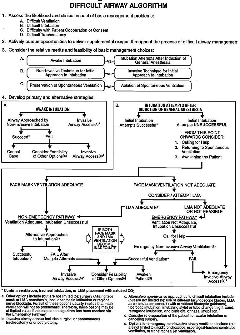 Pediatric Anesthesia Textbook A Full Pediatric Anesthesia Manual - photo 5