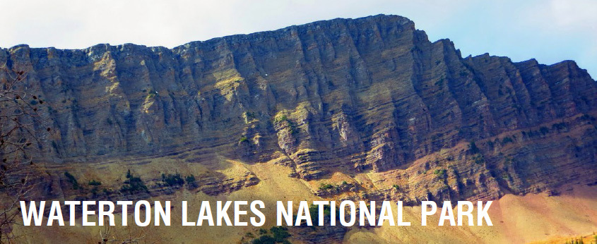 Waterton Lakes National Park is nestled in the far southwestern corner of - photo 12