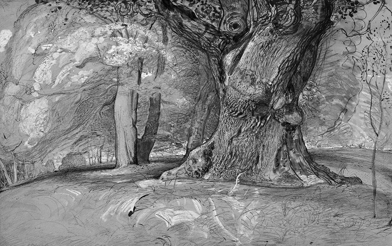 Samuel Palmer Oak Tree and Beech Lullingstone Park Kent 1828 Men and women - photo 5