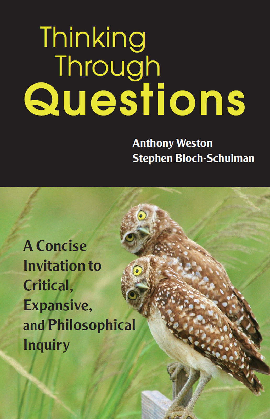 Thinking Through Questions A Concise Invitation to Critical Expansive and - photo 1