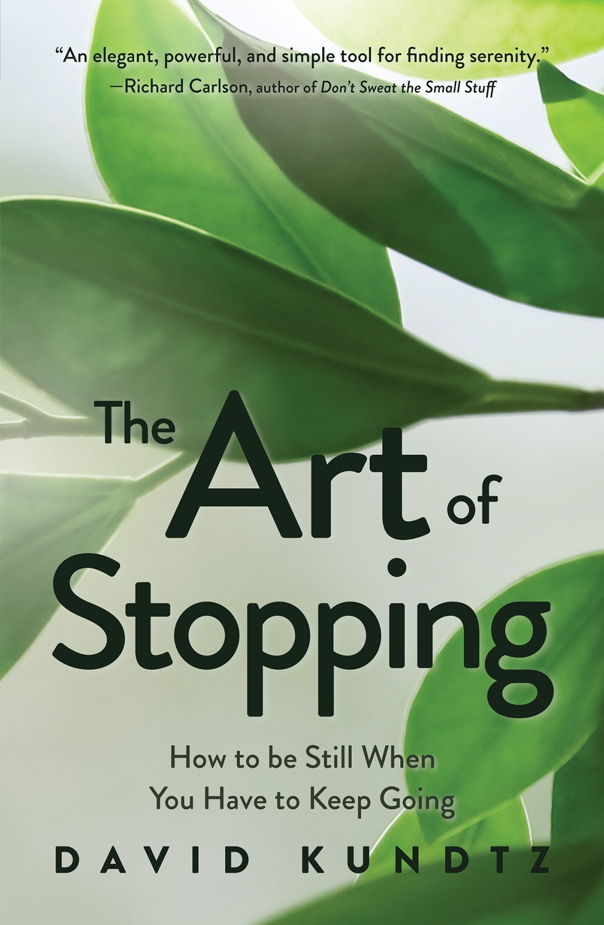 Praise for The Art of Stopping Instant Zen Susannah Seton coauthor of - photo 1