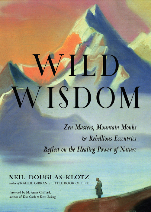 WILD WISDOM WILD WISDOM Zen Masters Mountain Monks and Rebellious Eccentrics - photo 1