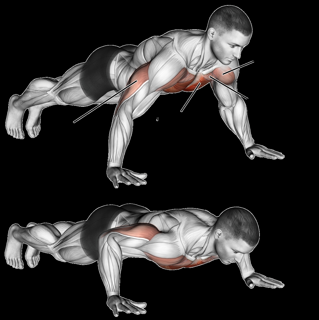 PIKE PUSH UPS 3 X 15 DECLINE PUSH UPS 3 X 15 DIAMOND PUSH UPS 3 X 15 - photo 35