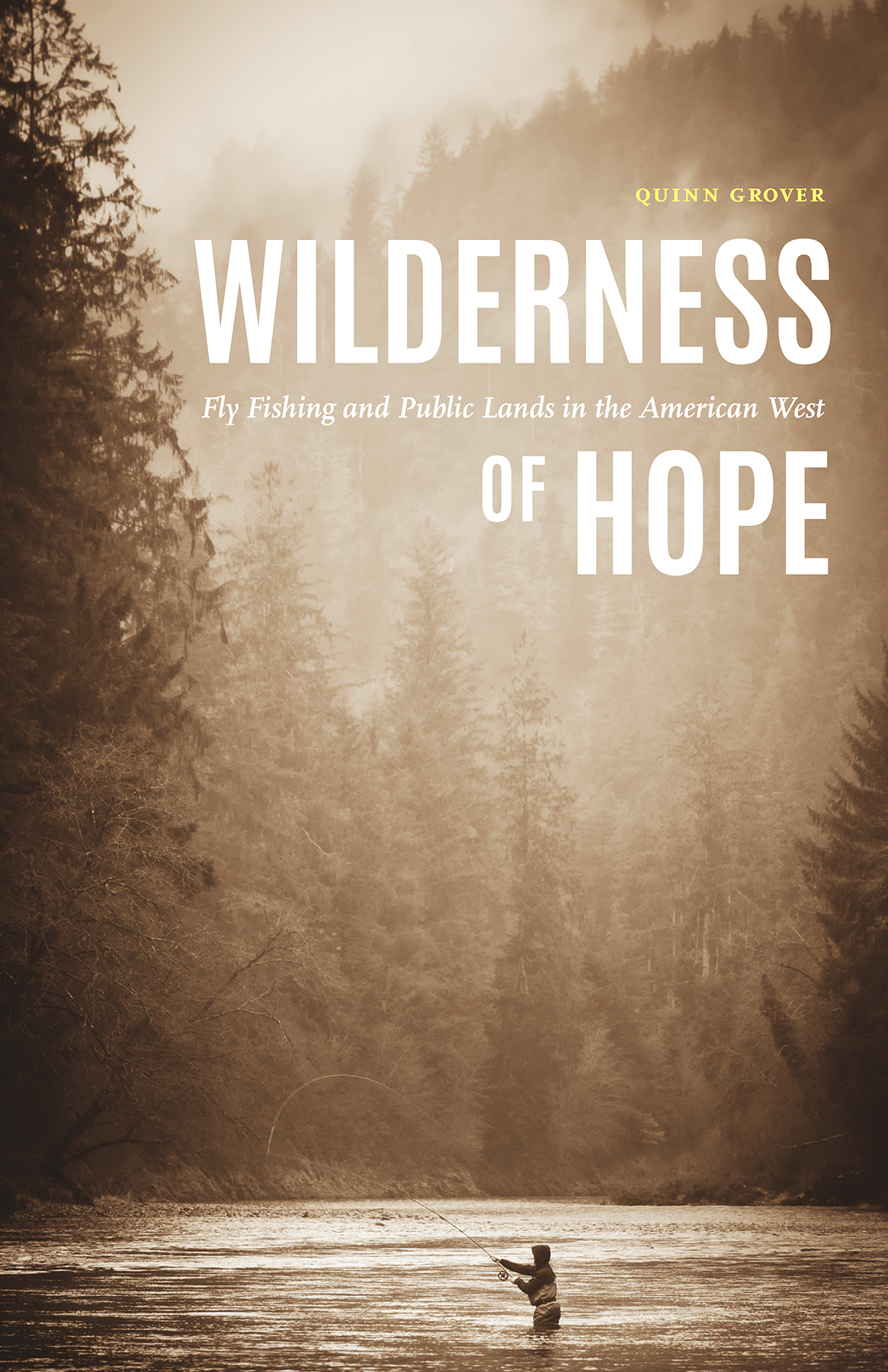 Wilderness of Hope joins a long tradition of booksincluding The River Why and A - photo 1