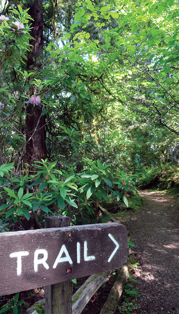 URBAN TRAILS KITSAP Bainbridge Island Key Peninsula BremertonSilverdale - photo 2