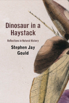 Stephen Jay Gould - Dinosaur in a Haystack