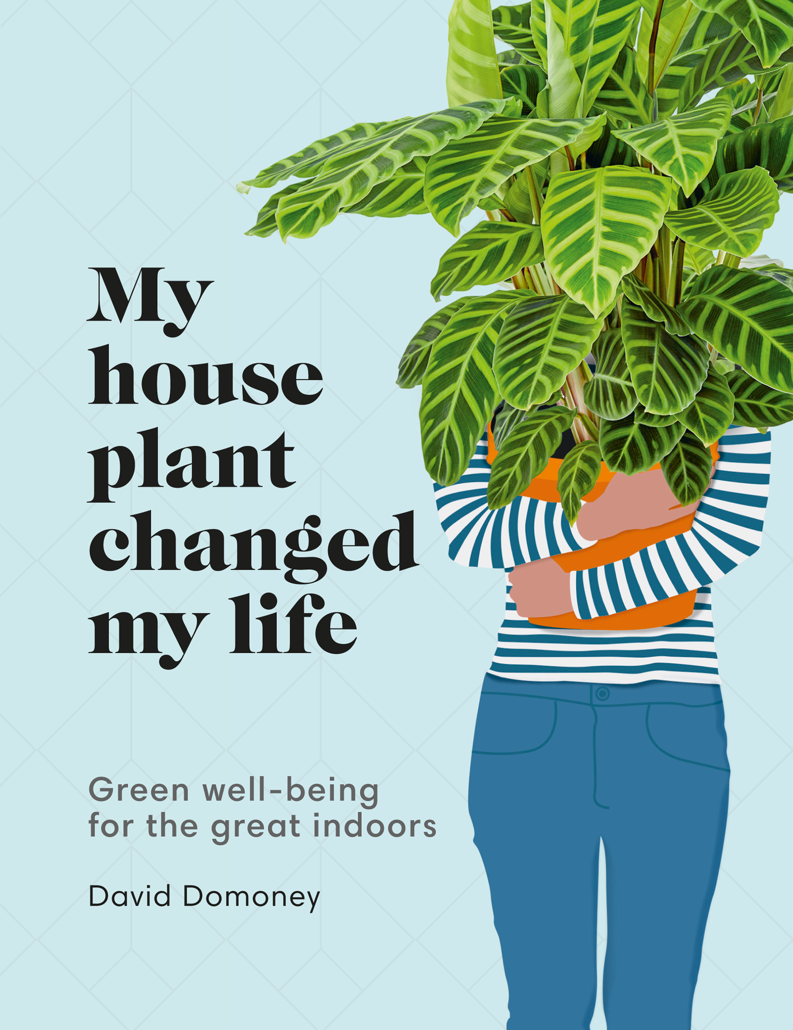 CONTENTS Get to know and love the 50 most life-changing houseplants with all - photo 2