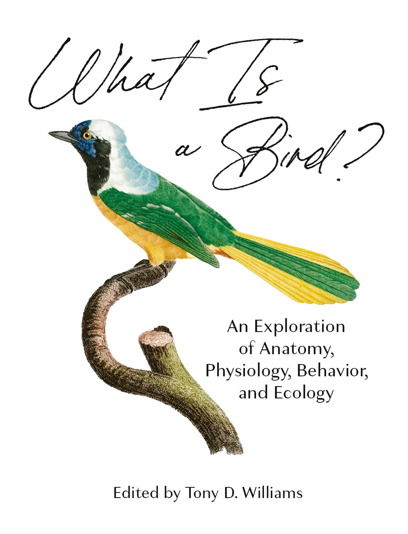 What Is a Bird An Exploration of Anatomy Physiology Behavior and Ecology - photo 1