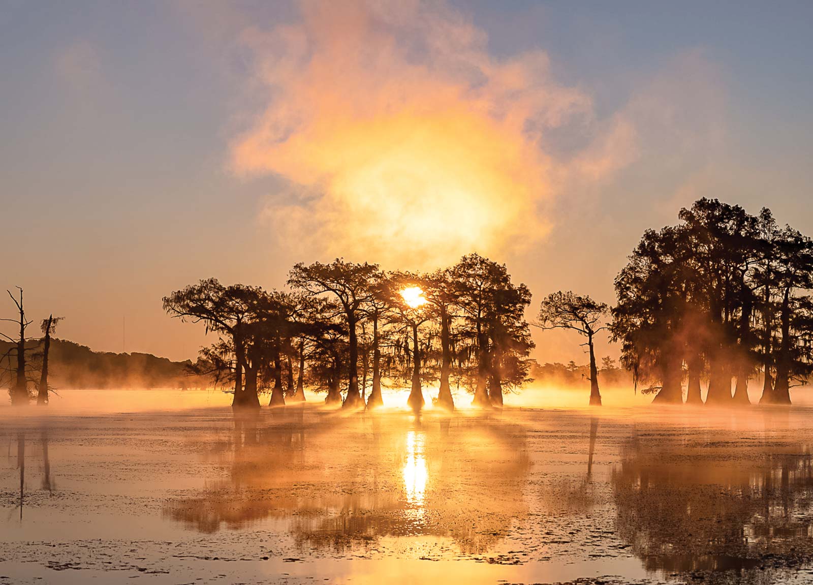 Caddo Lake The Elissa P - photo 7