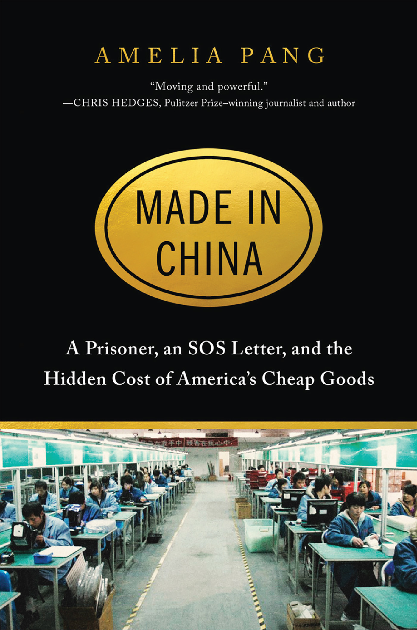 Made in China A Prisoner an SOS Letter and the Hidden Cost of Americas Cheap Goods - image 1